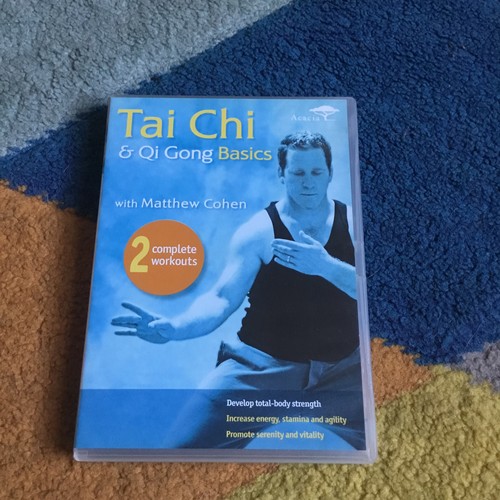Tai chi gong basics dvd - qi,