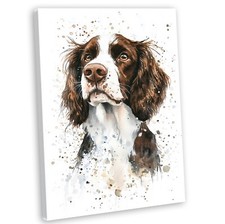 Springer Spaniel Canvas Wall