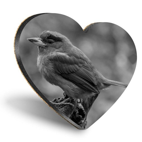 Heart mdf coasters - heart, bw