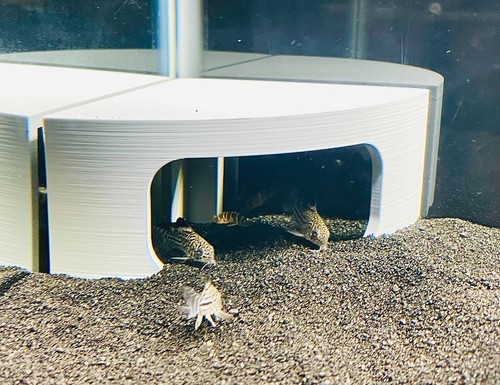 Aquarium cave corner fish tank - fish,