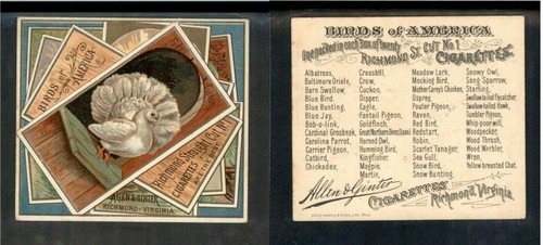 1890 n37 allen - 1890,