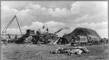 Threshing Machine in