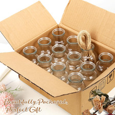 Vmgigig 12PCS Small Glass Bud