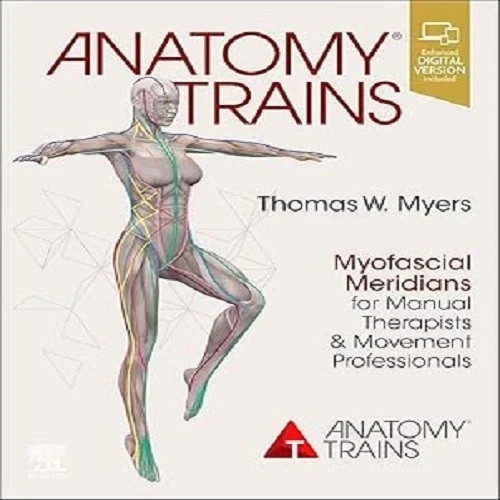Anatomy trains myofascial - anatomy,