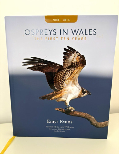 Emyr evans ospreys - emyr, in