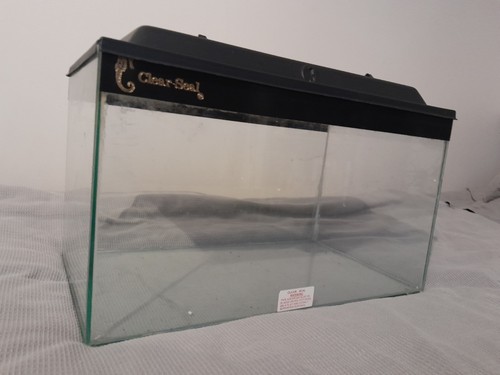 Clear seal glass aquarium fish - glass,