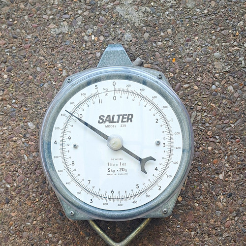 Salter 235 analogue dial - analogue,