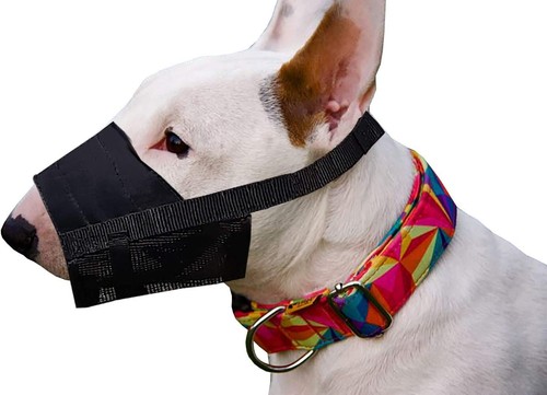 Dingo nylon muzzle for parson - nylon,