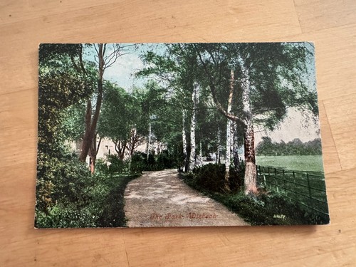 Postcard the park wisbech - postcard,