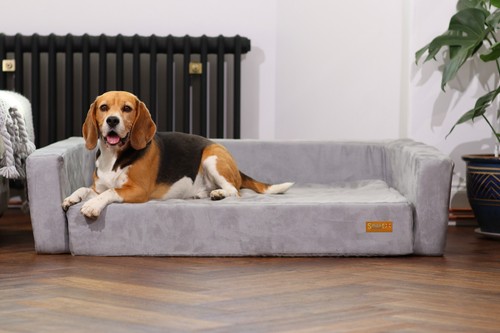 Smart pet beds dog cat - smart,