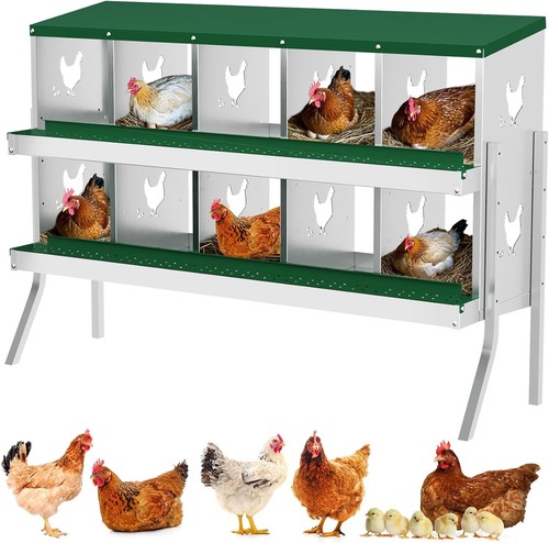 Chicken nesting box - chicken,