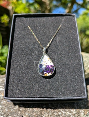 Derbyshire specialist blue - specialist,