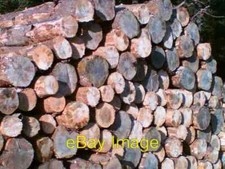Photo 6x4 Lots of Logs Craig Megen A load of 2.5 pallet sorely needing a  c2007