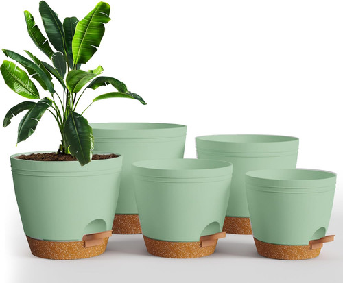 Self watering plant pots - self,