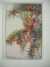 Vintage Flower Fairies Print & Mount The Yew Fairy Cicely Mary Barker c1930s