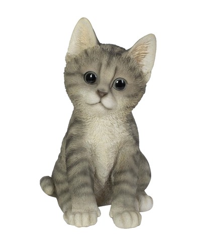 Vivid arts pet - pet, tabby