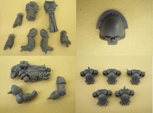 Sternguard veteran bits - -,
