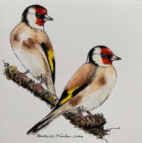 Goldfinch original - goldfinch,,
