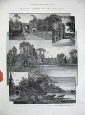 Original Old Antique Print