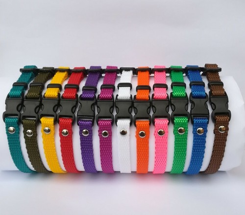 Collars puppy whelping - 12,