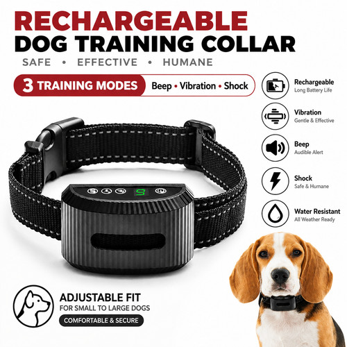 Electric pet dog training - dog,