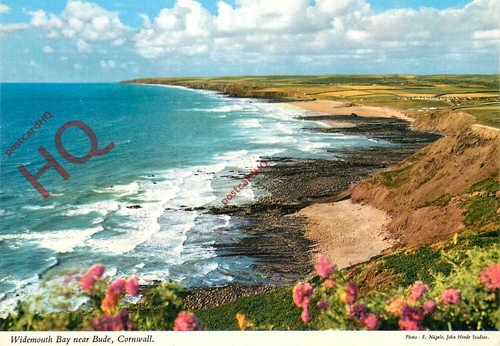 Picture postcard widemouth - postcard_,