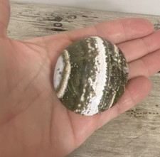 Green White Ocean Jasper Crystal Palm Stone 78g 2.5 inch Chakra Reiki Healing