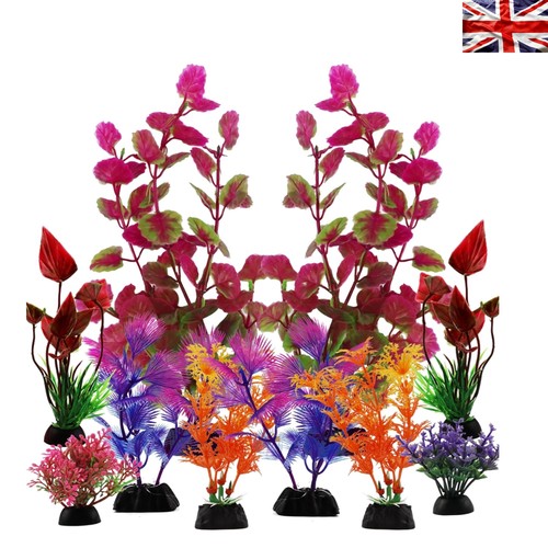 Vibrant piece fish tank - fish,