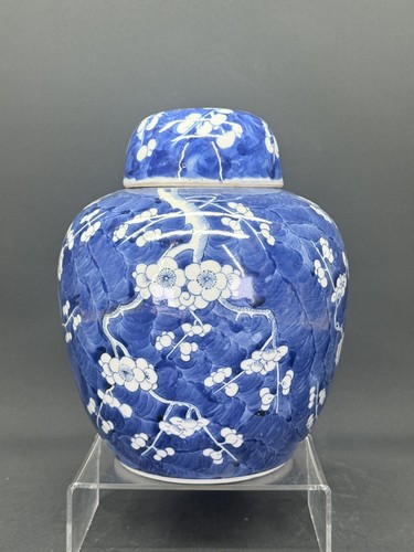Large chinese prunus blossom - large,