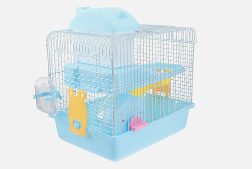 Hamster travel animal - travel,