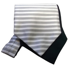 Cravat Ascot Mens Wedding