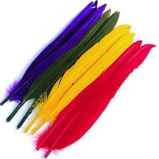 Duck Quills - Fly Tying