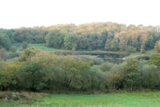 Photo 6x4 garnffrwd - 6x4,