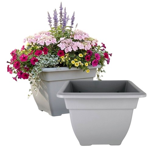 Grey square bell - square, plant