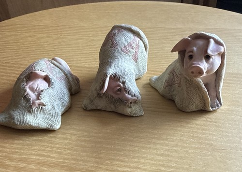 Border fine arts - saxa, pigs