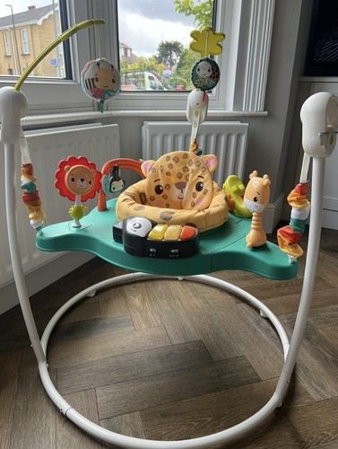 Fisher price jumperoo - fisher-price,