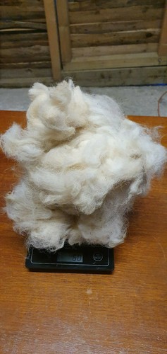Staple raw white - staple,