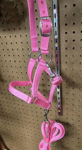 Miniature horse halter lead - horse, &