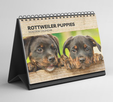 Rottweiler Puppies Desk