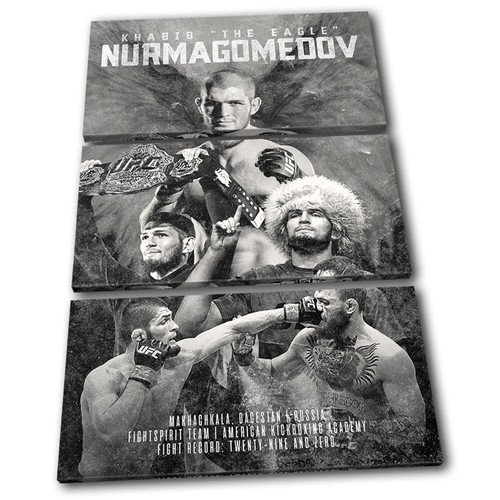 Khabib nurmagomedov ufc mma - ufc,