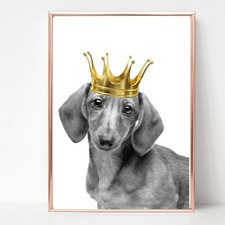 SAUSAGE DOG DACHSHUND DOXIE