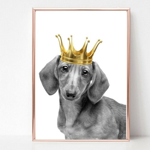 Sausage dog dachshund - dog, doxie