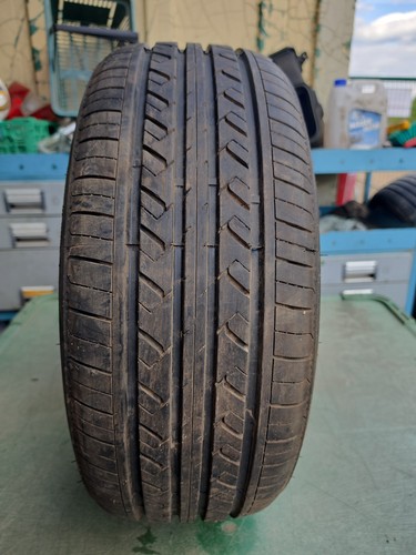 Rapid p309 205 - 205, 91v