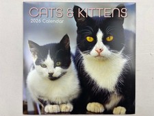 Cats & Kittens 16 Month 2026 Wall Calendar 12" x 12"