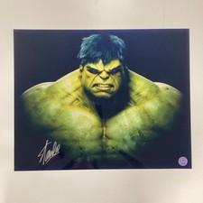The Incredible Hulk 20x16 Stan