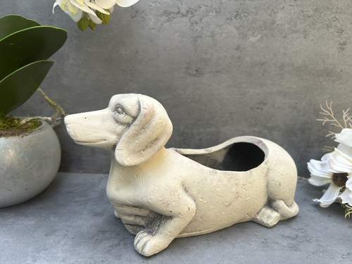 Sausage dog dachshund grey - dog,