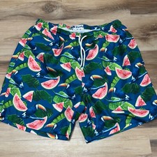 Trunks Bathing Suit Mens XL