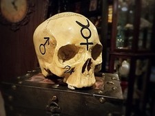 Alchemy Skull, Pentagram Skull, Real Human Skull Replica, Astrology Skull