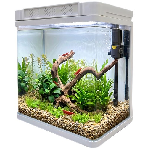 Fish tank aquarium tropical - aquarium,