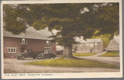 Moreton pinkey - moreton,